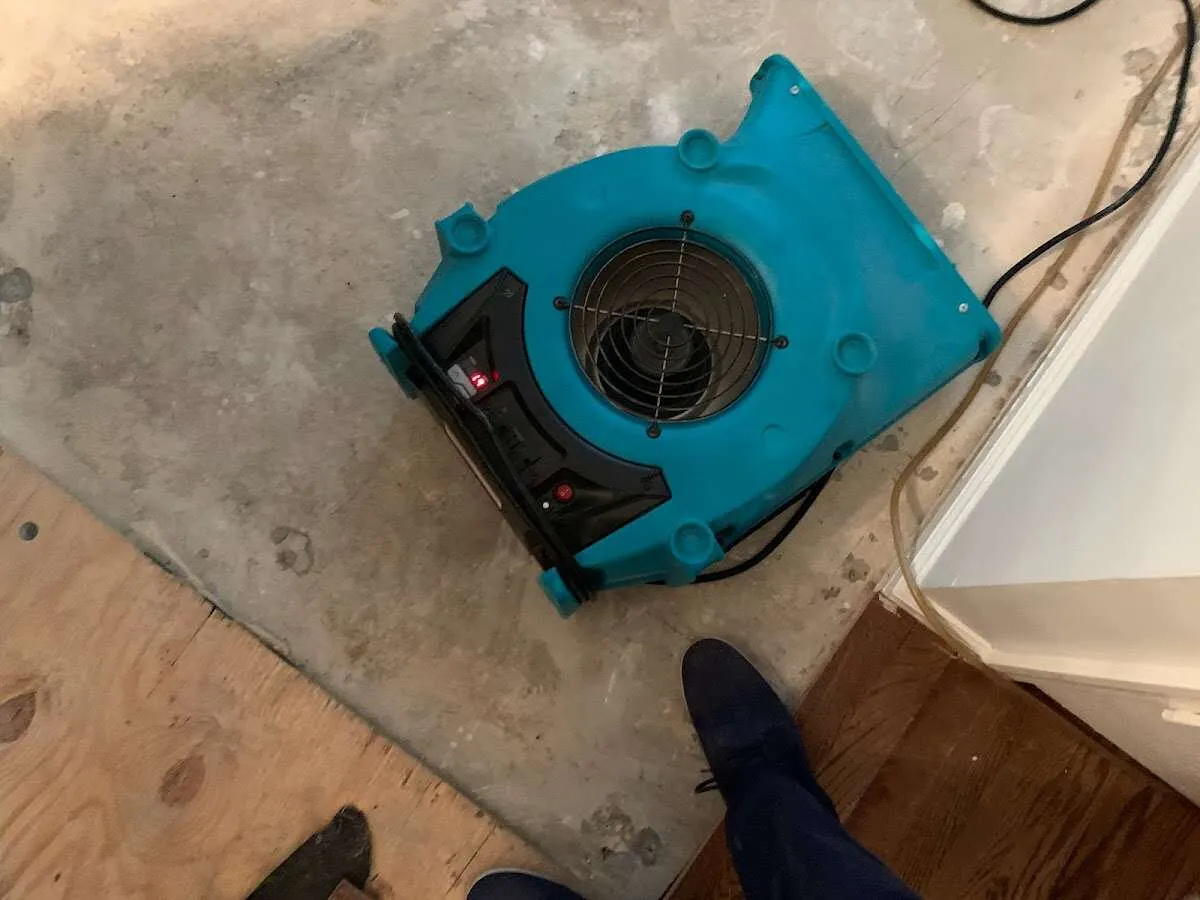Air mover drying subfloor during Leak Detection & Repair in Bethalto