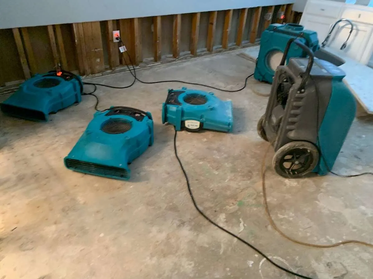Water Damage Restoration services in Bethalto, IL